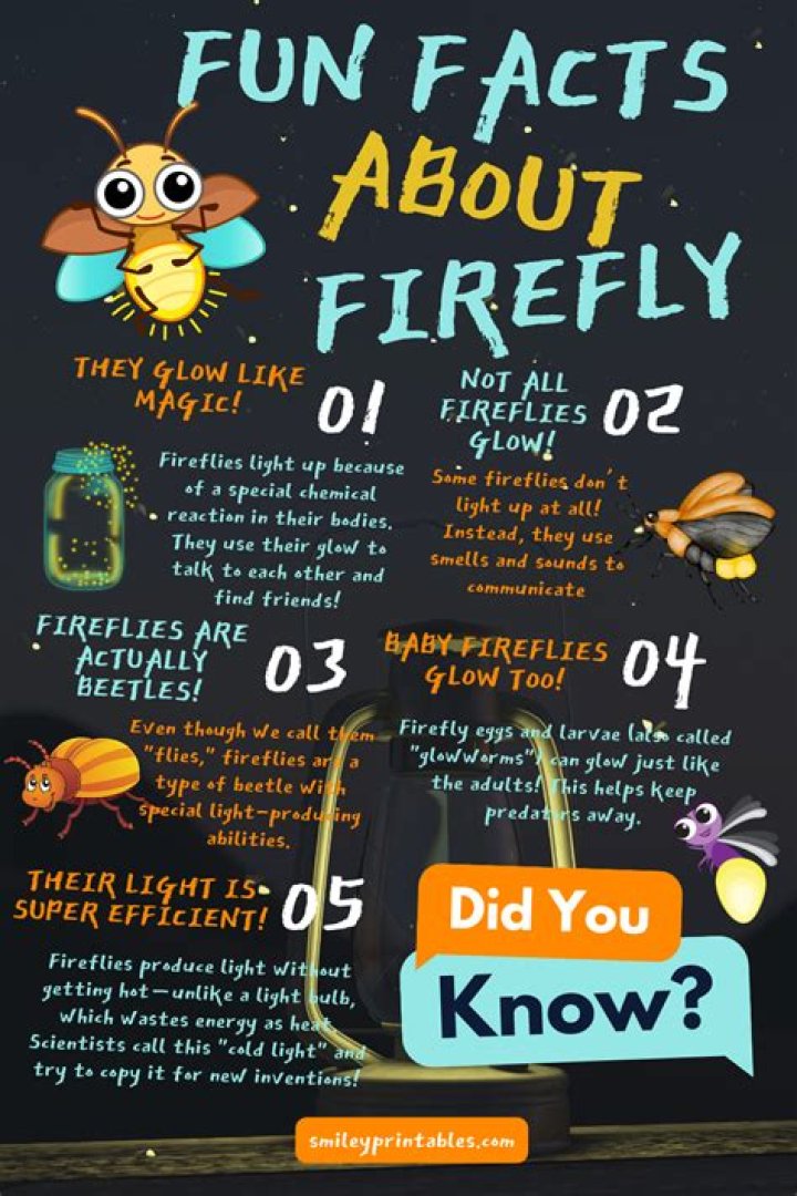 Andres Joseph: 10 Facts on Firefly Lane Actor