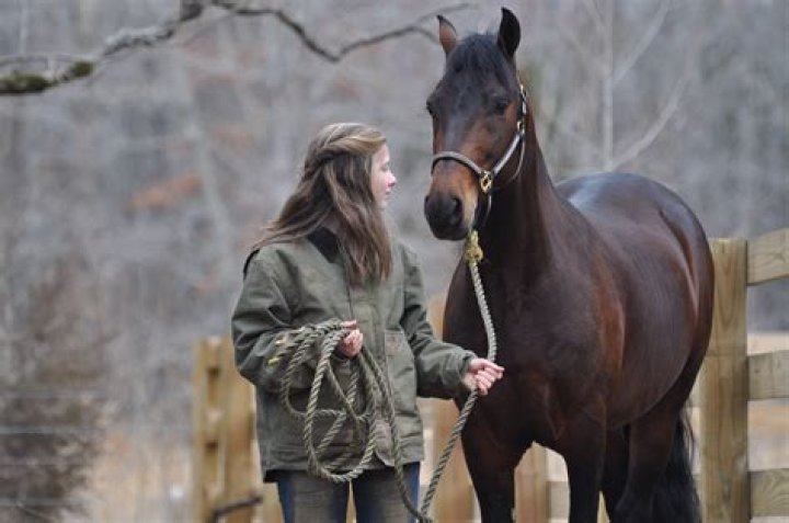 Anna Claire Sneed Bio, Wiki, Age, Height, Family, Husband, A Fine Step, and Net Worth