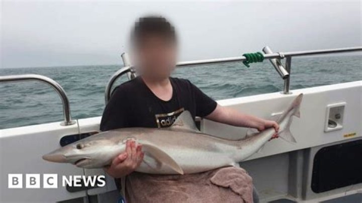 Arion Kurtaj Parents: Who Are They? Family Details