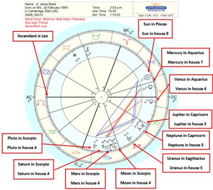 Astrology Birth Chart of Adam Ray (Comedian) 2024