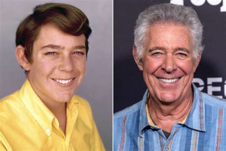 Barry Williams (TV Actor) - Age, Birthday, Bio, Facts, Family, Net Worth, Height & More