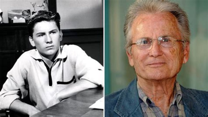 Billy Gray (TV Actor) - Age, Birthday, Bio, Facts, Family, Net Worth, Height & More