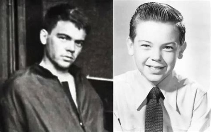Bobby Driscoll Biography, Age, Height, Wife, Net Worth, Family