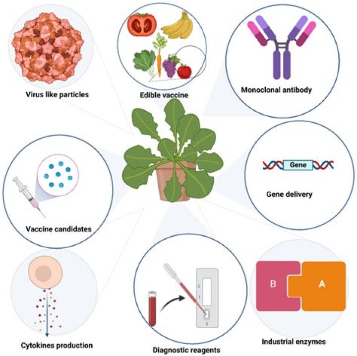 Cameron Finley Bio, Wiki, Age, Height, Dating, Molecular Biology, and Net Worth
