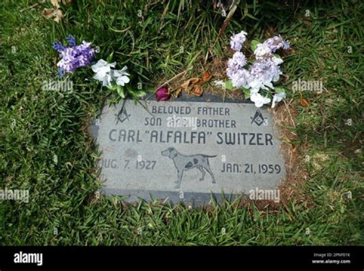 Carl 'Alfalfa' Switzer Biography, Age, Height, Wife, Net Worth, Family