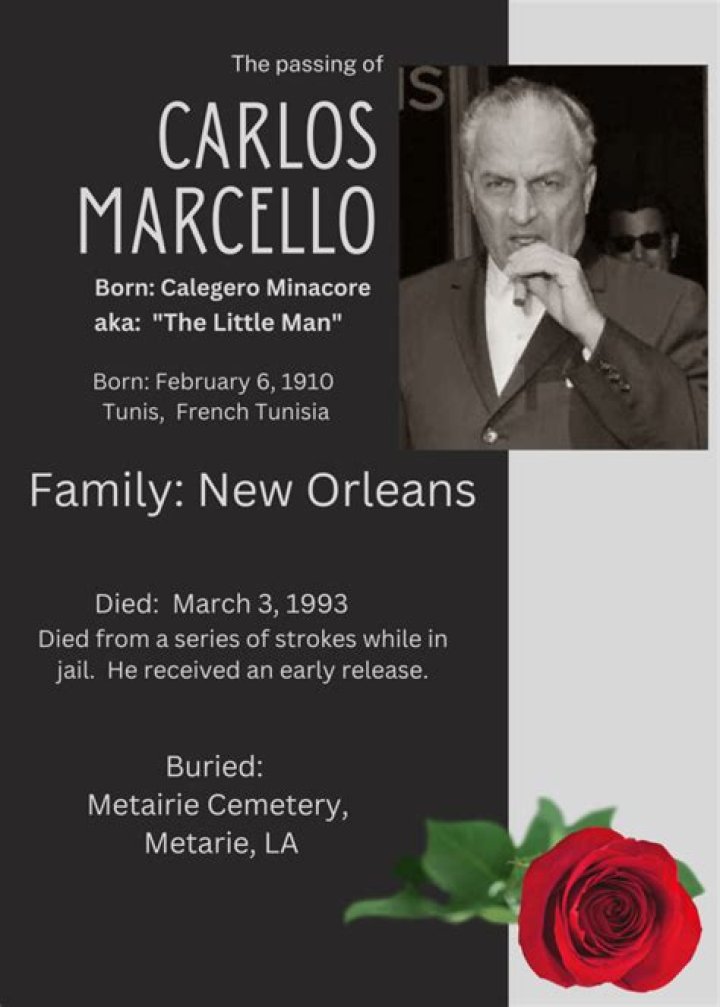 Carlos Marcello biografía, edad, altura, esposo, net worth, familia