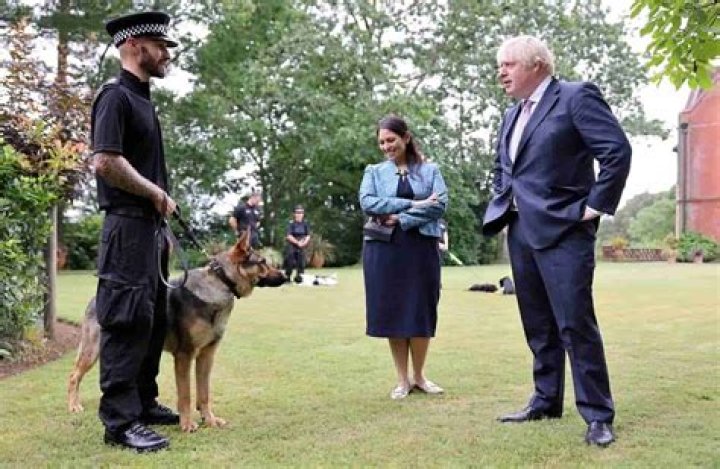 Cassia Peaches Johnson Bio, Age, Dating, Parents, Education, Net Worth, Height And Family