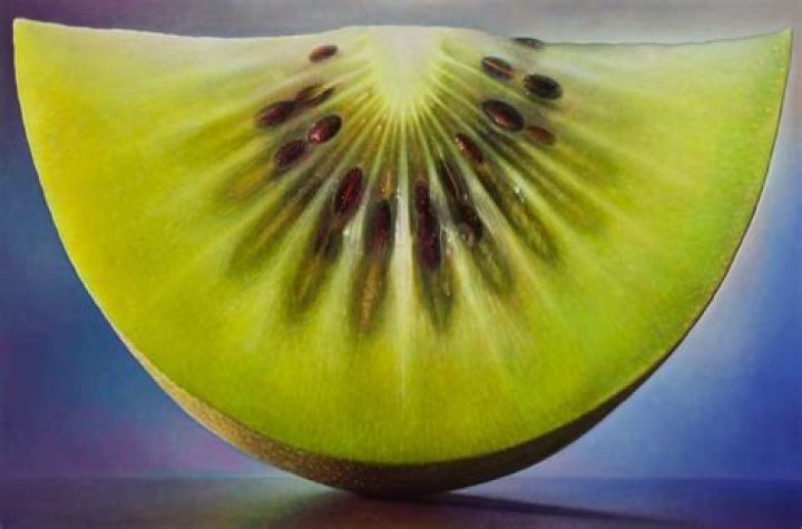 Dennis Wojtkiewicz biografía, edad, altura, esposo, net worth, familia