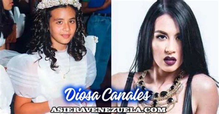 Diosa Canales biografía, edad, altura, esposa, net worth, familia