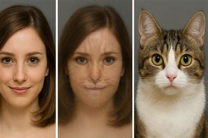 Double-Take!17 Photos Prove Kim Kardashian and Glee’s Naya Rivera Are Morphing Into the Same Person