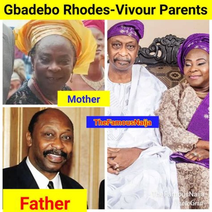 Gbadebo Rhodes Vivour Biography, Age, Height, Wife, Net Worth, Family