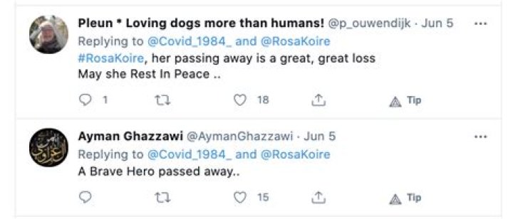 How Did Rosa Koire Died? Everything On Her Age Wikipedia And Husband