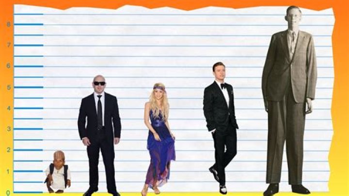 How tall is Pitbull