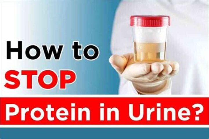 How to get rid of protein in urine