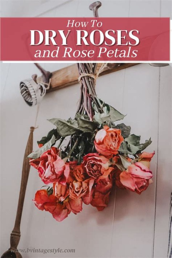 How to preserve rose hips for decoration