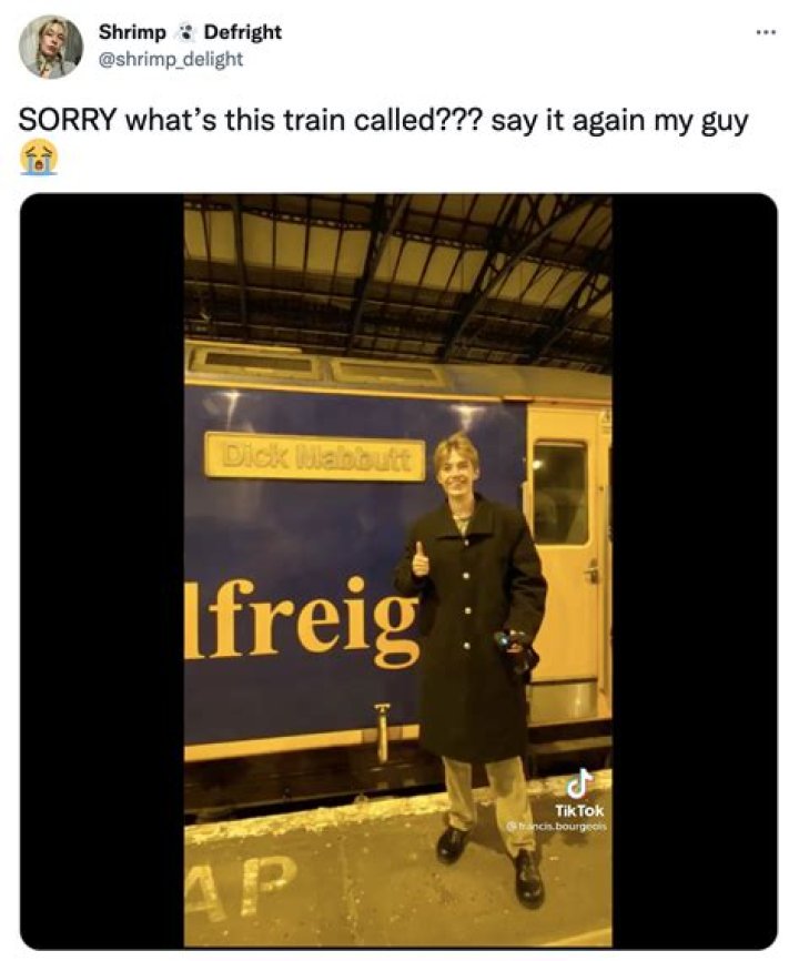 Is Francis Bourgeois Really Autistic? Dick Mabbutt Train Guy Has A Meme All Over Twitter