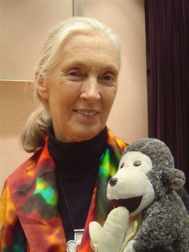 Jane Goodall Wikipedia, Biography, Age, Height, Husband, Net Worth, Children