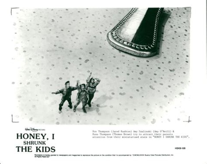 Jared Rushton Biography, Age, Height, Wife, Net Worth, Family