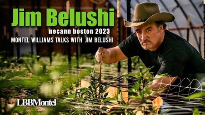 Jim Belushi’s net worth, biography, fact, career, awards and life story