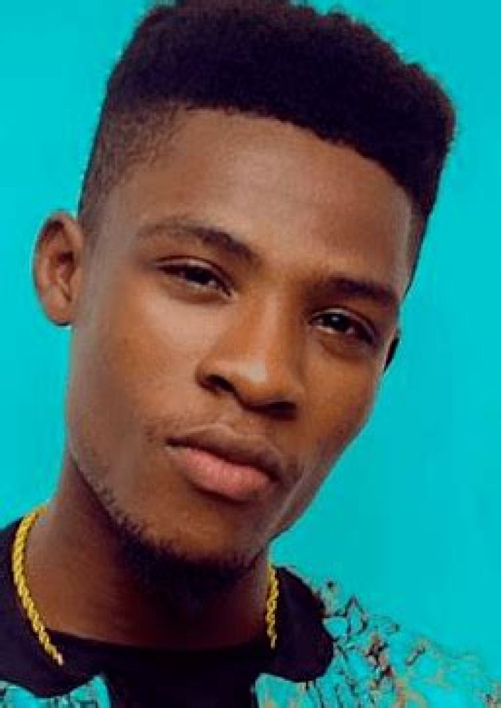 Joeboy Bio-Wiki, Age, Height, Wife, Net Worth, Songs (Baby, Beginning, Call)