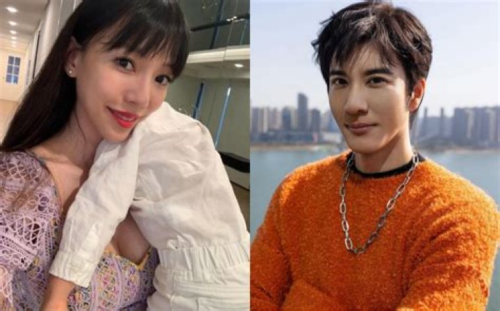 Lee Jinglei Background And Wiki: Meet Wang Lee Hom Ex Wife On Instagram