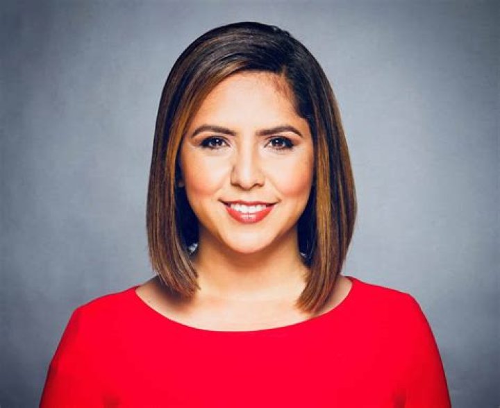 Lisa Chavarria Bio, Wiki, Age, Husband, Pregnant, NBC 5 News, Salary and Chicago