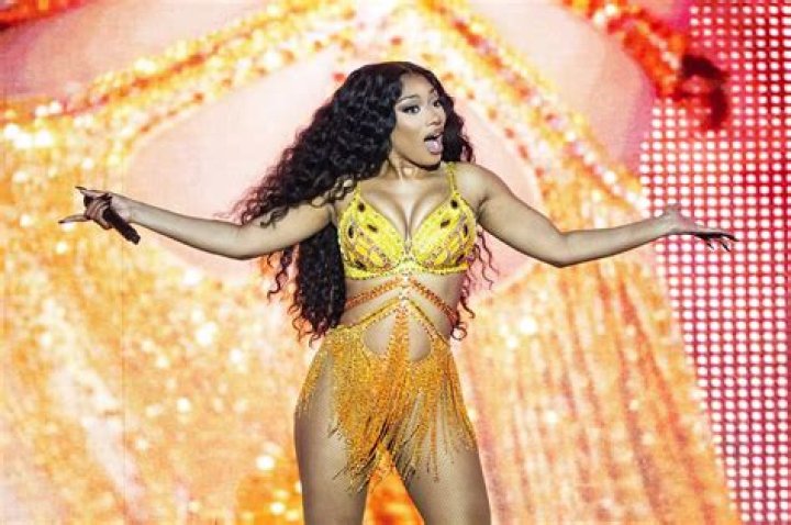 Megan Thee Stallion Sparks Transgender Speculation After Viral Twerk Video