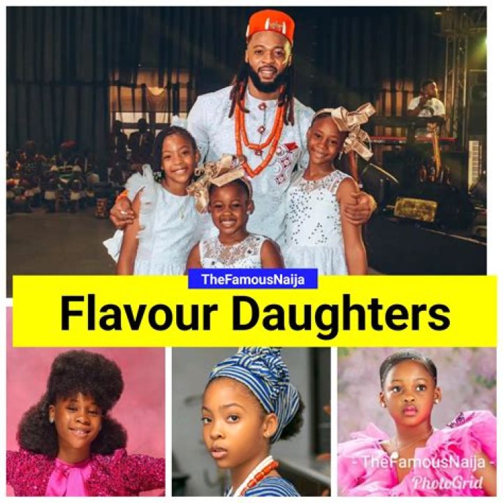 Mr Flavour Net Worth And Biography