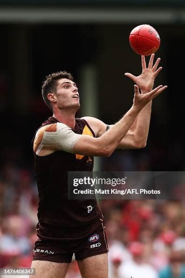 Ned Reeves Height: How Tall Is He?