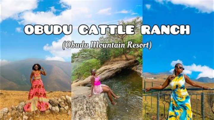 Obudu Cattle Ranch And Mountain Resort – Here’s All You Need To Know
