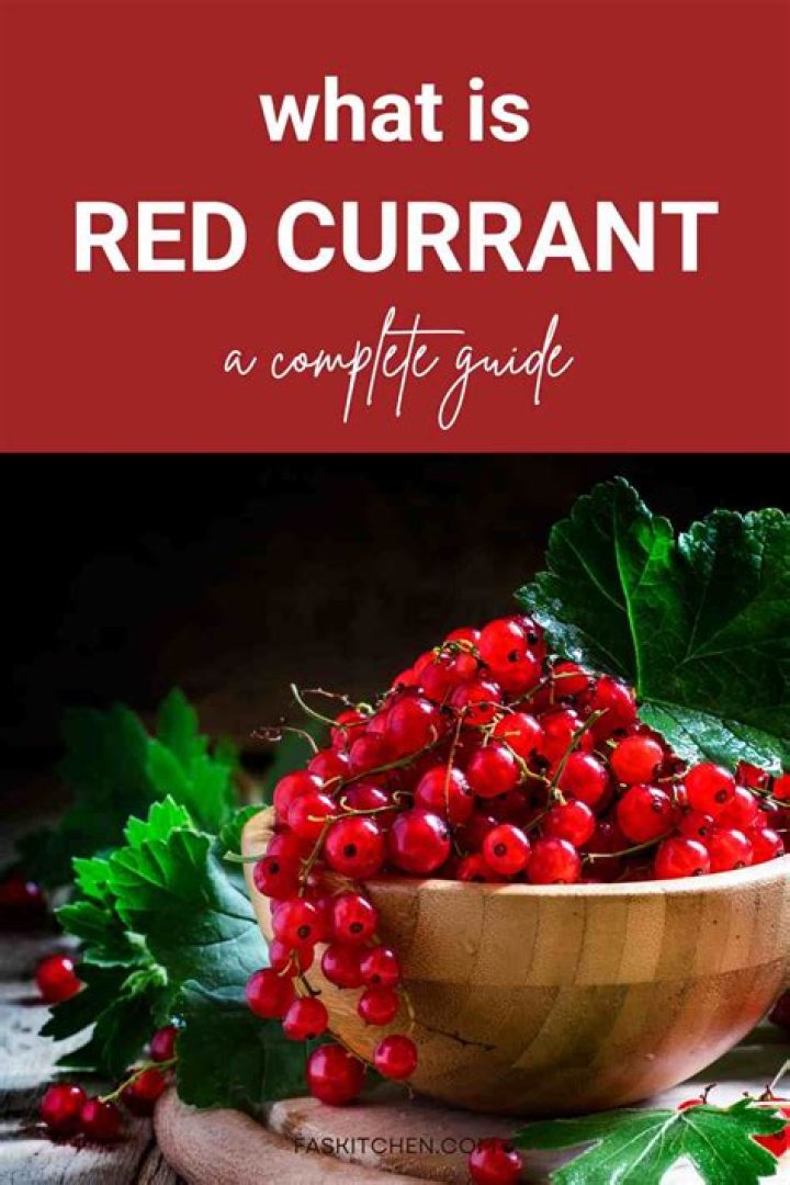 Redcurrant: 10 Nutritional Health Benefits of Red Currant Berries