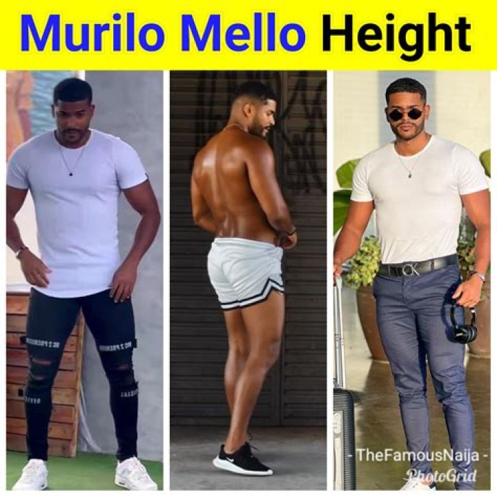 Rubens Ometto Silveira Mello Biography, Age, Height, Wife, Net Worth, Family