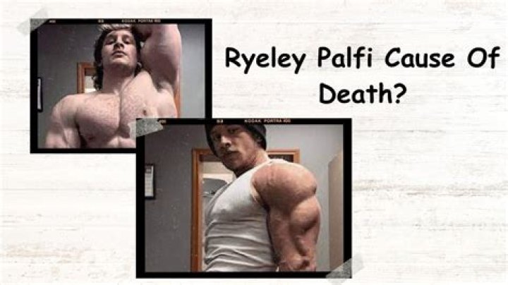 Ryeley Palfi Cause Of Death