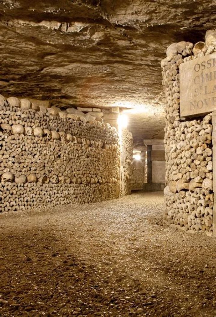 ShantiiP Age and Instagram – What We Know About Musical Artist From “Throw It Back A Bow”