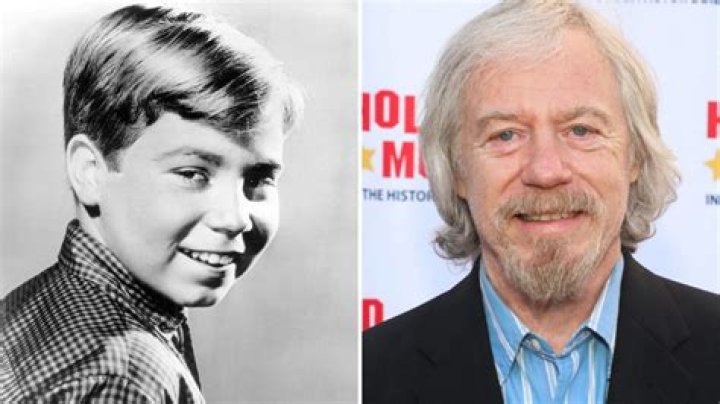 Stanley Livingston (TV Actor) - Age, Birthday, Bio, Facts, Family, Net Worth, Height & More