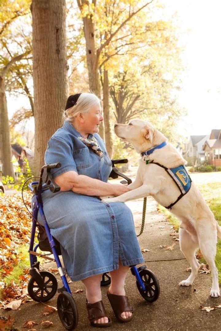 Sue Thomas Biography, Age, Height, Husband, Net Worth, Family