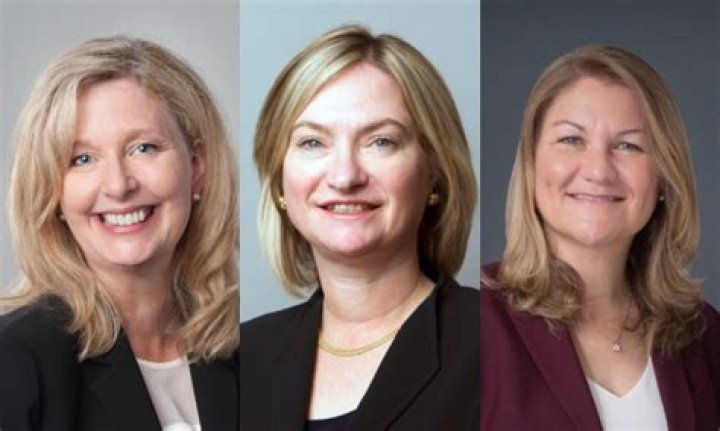 Tammy And Twins TikTok Aka Tammy Sepetis, Burlington Ontario HR Recruiter Twitter Reaction