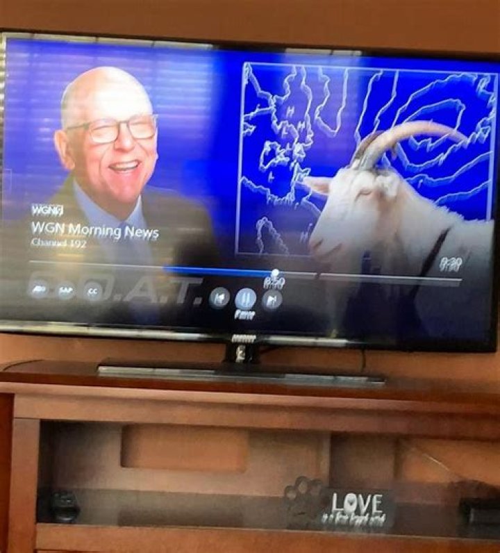 Tom Skilling Bio, Wiki, Age, Wife, Family, Brother, channel 9 WGN-TV, Salary, Net Worth.