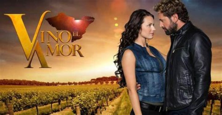 Vino el Amor (TV Series 2016-): perfil de los miembros, hechos, wiki, logros, patrimonio neto 2024 (actualizado)