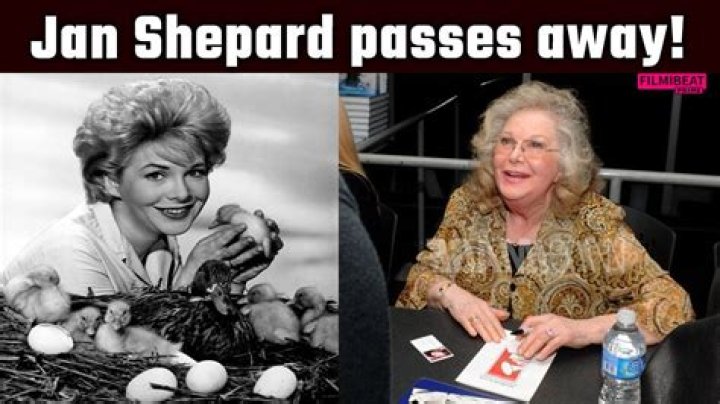 Vonda Shepard Biography, Age, Height, Husband, Net Worth, Family