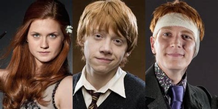 What book does Fred Weasley die? – Celebrity.fm – #1 Official Stars, Business & People Network, Wiki, Success story, Biography & Quotes