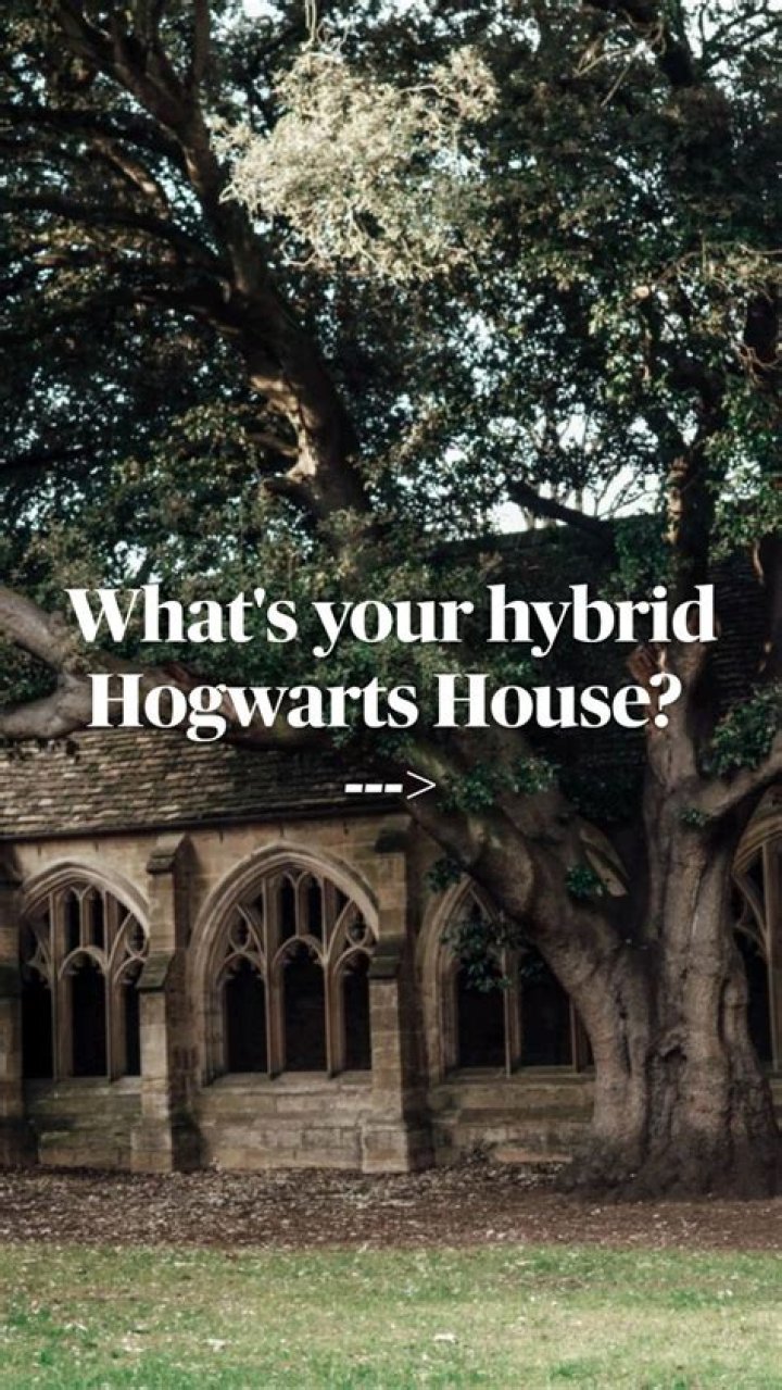 What is the rarest hybrid Hogwarts house? – Celebrity.fm – #1 Official Stars, Business & People Network, Wiki, Success story, Biography & Quotes