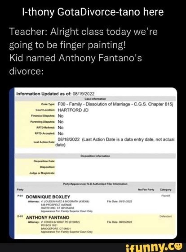 Why Did Anthony Fantano Divorce Dominique Boxley? What Happened Between Them?