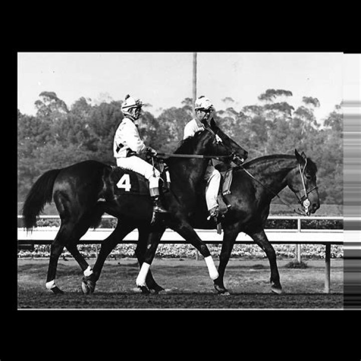 Willie Shoemaker biografía, edad, altura, esposo, net worth, familia