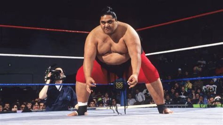 Yokozuna (Wrestler) - Age, Birthday, Bio, Facts, Family, Net Worth, Height & More