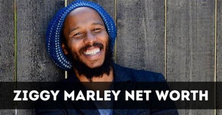Ziggy Marley Net Worth, Income, Salary, Earnings, Biography